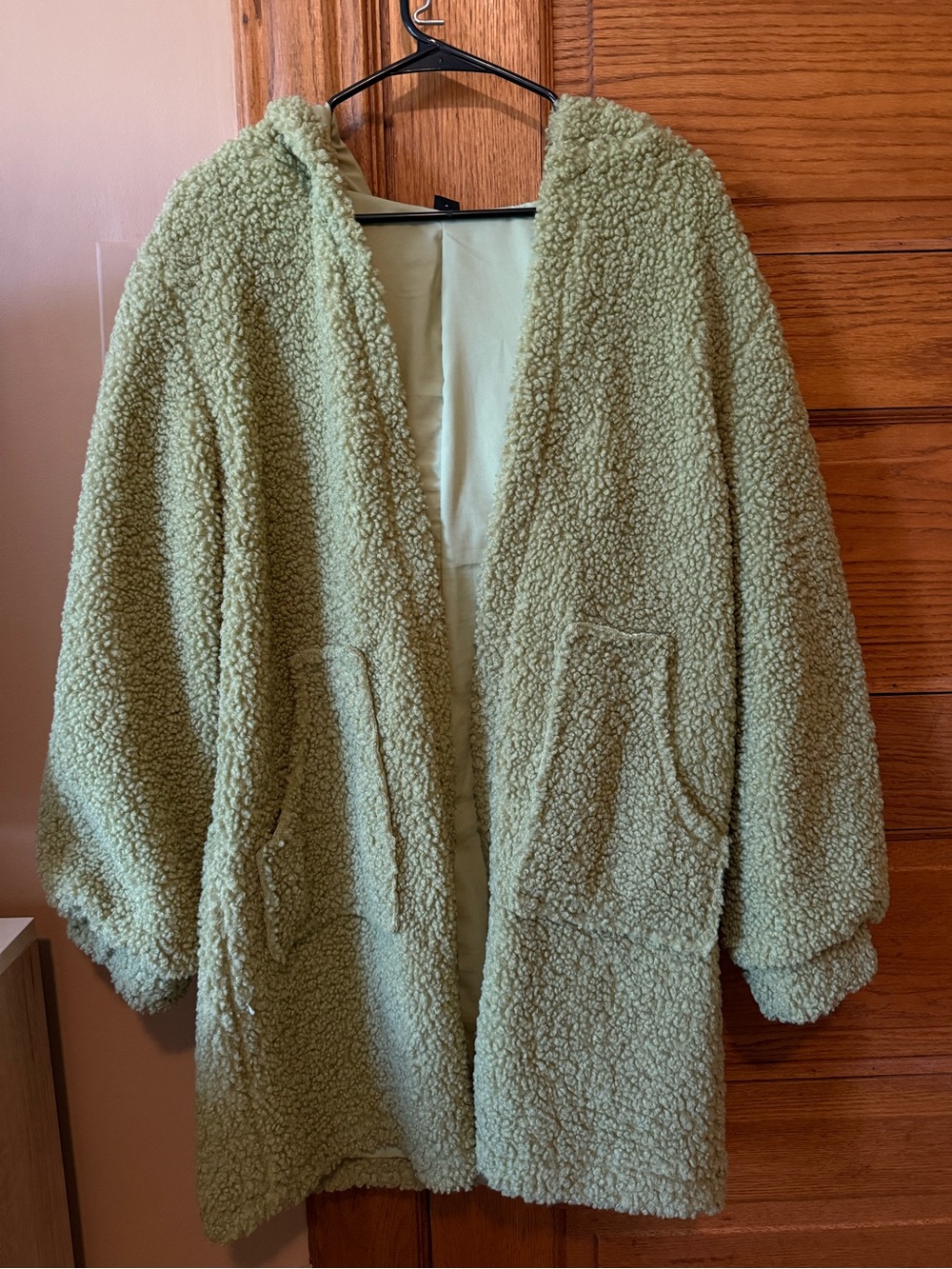 SHEIN Light Green Sherpa Hooded Teddy Coat